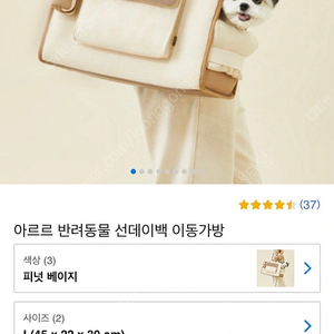 아르르 강아지가방 L,베이지