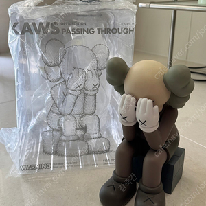 카우스 패싱쓰루 KAWS Passing Through 아트토이 브라운