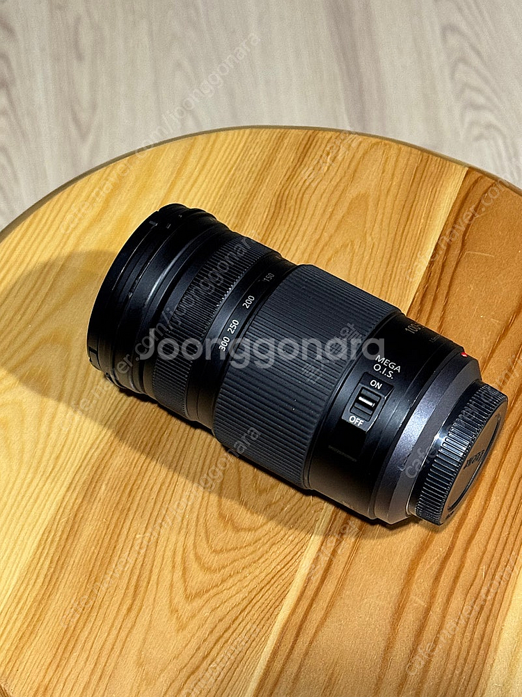 루믹스 100-300mm--0