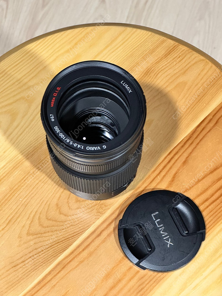 루믹스 100-300mm--1