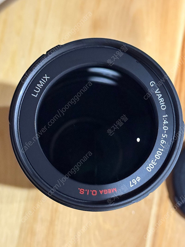 루믹스 100-300mm--3