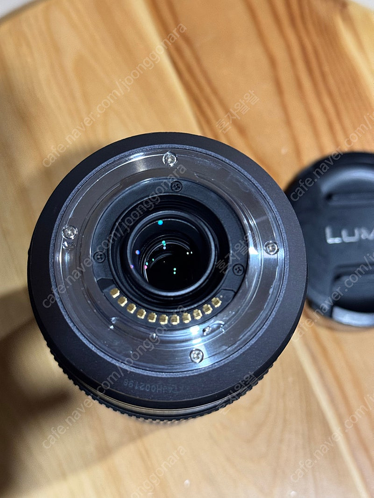루믹스 100-300mm--4