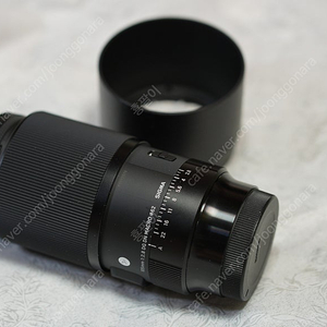 시그마 105mm macro 소니마운트
