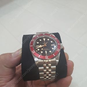 튜더 블랙베이 버건디