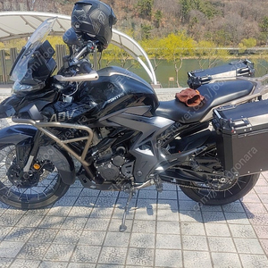 존테스350t팝니다. 한시적인하