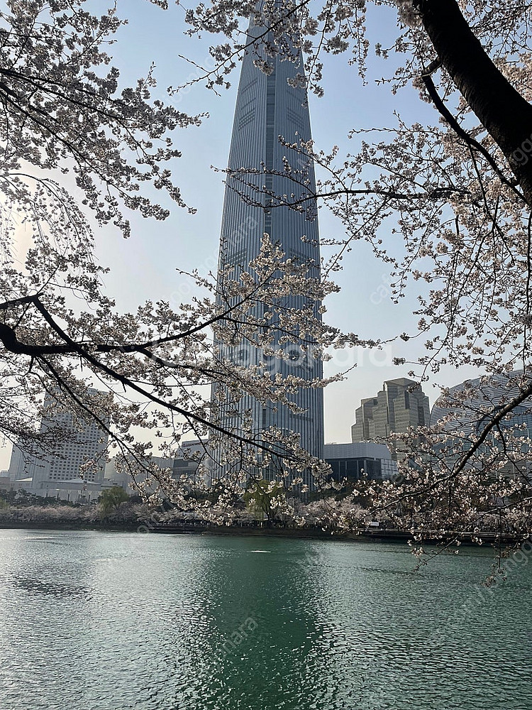 콜드플레이--0