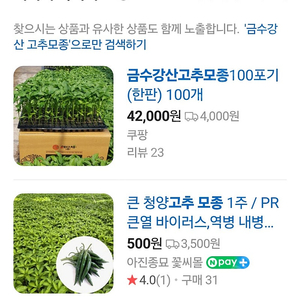 고추모종 가지 오이 모종 판매합니다