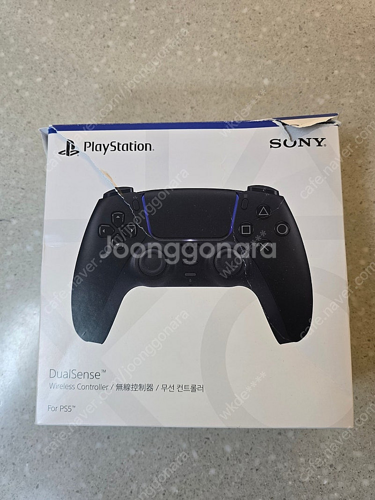 듀얼센스--0