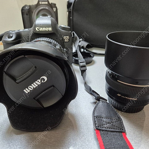 캐논 6D + 24-105mm +50mm 쩜사