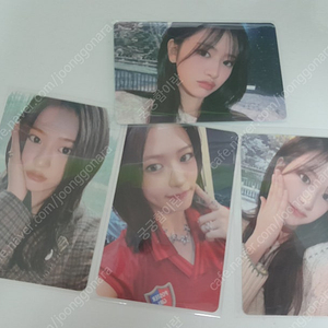 아이브 유진 포카 엠파시 앨범 md 포카 4개와 러브드 개봉앨범 풀구성 덤드림 아이브 안유진 포카