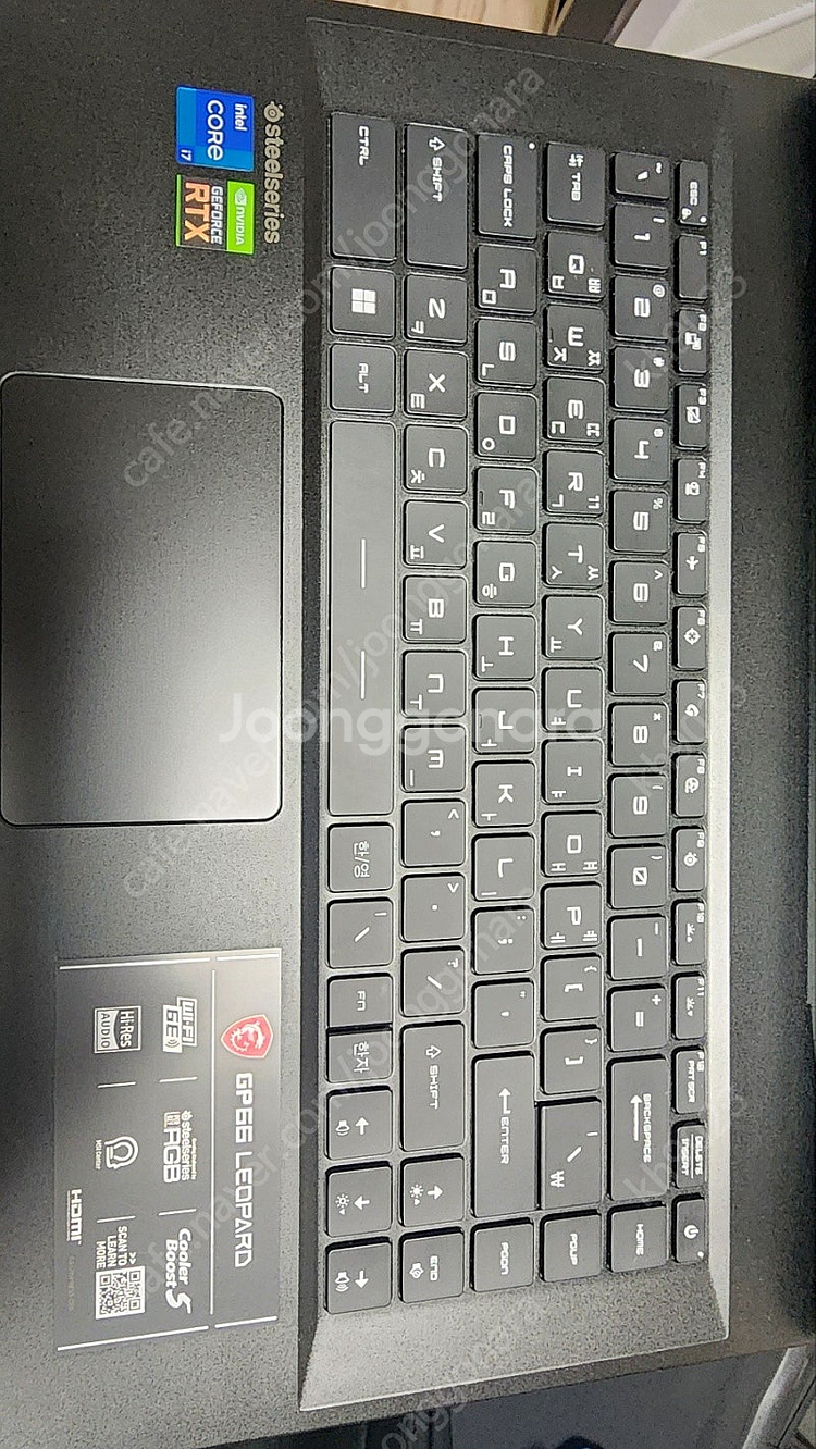 msi gp66 i7 11800h rtx 3070 최저...--0