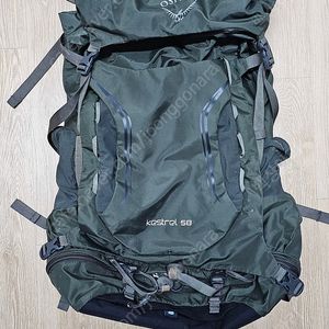 오스프리 배낭 캐스트럴 58