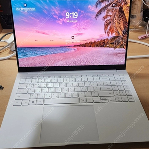 삼성 갤럭시북 프로 SSD 256GB + 1TB