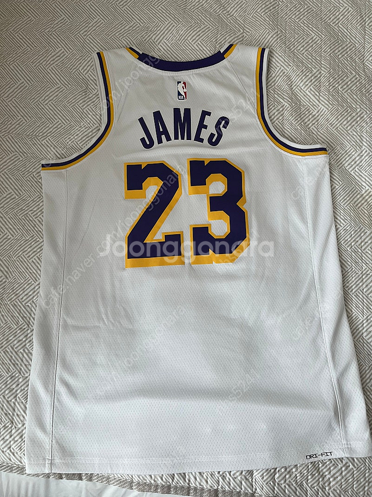 나이키 NBA스윙맨 져지 la레이커스 르브론 제임스 M...--1