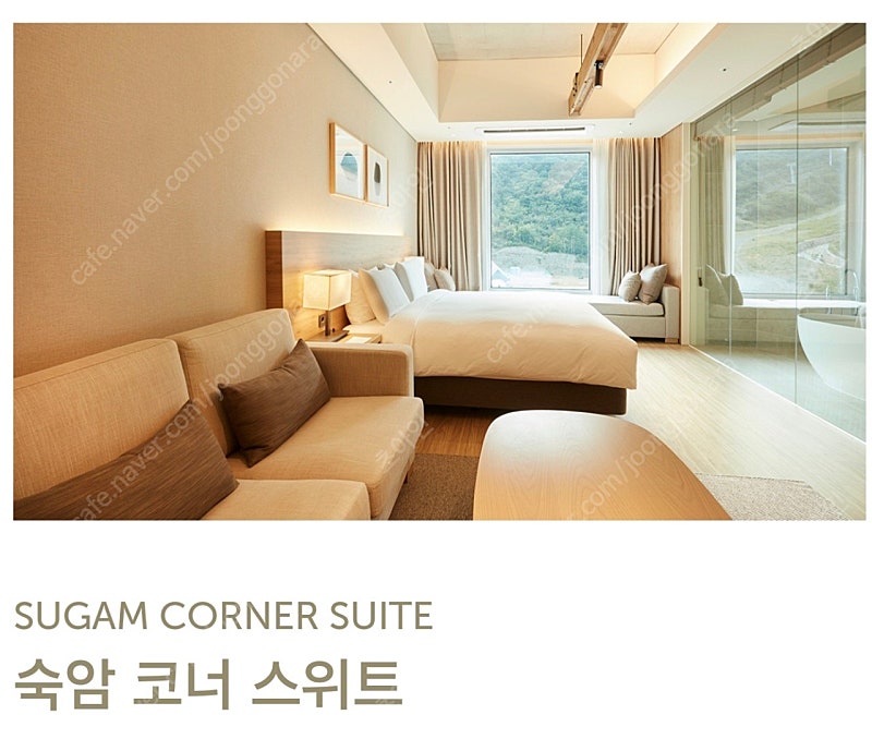 정선 파크로쉬 호텔 코너 스위트 5/4-5/6 중 자유선택 어린이날 연휴(조식, 수영장, 자쿠지, 요가프로그램 등)