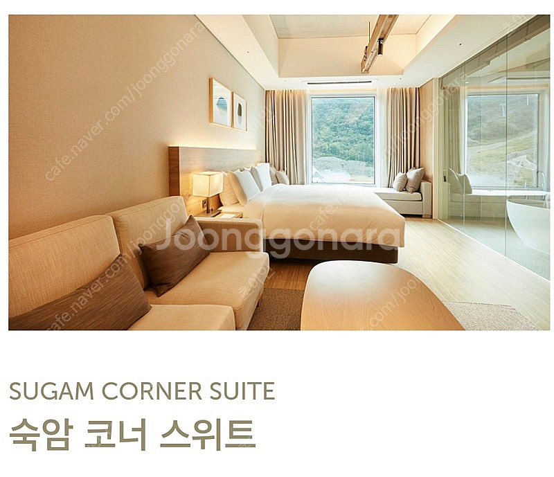 정선 파크로쉬 호텔 코너 스위트 5/4-5/6 중 자유...--0