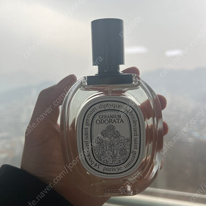 딥티크 제라늄 오도라타 향수