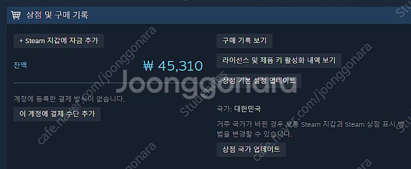 스팀 게임 선물 (45,000원 이하 게임 선물)--0