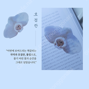 이옥토 책갈피(호접란 미개봉)