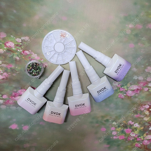 디보크 백야 낱개(5개)