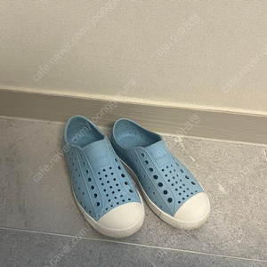 네이티브 C11