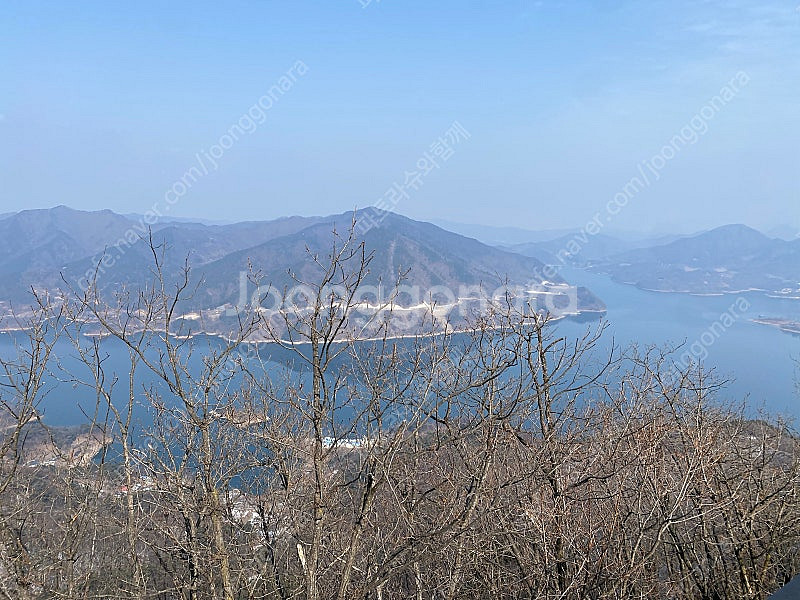 5월3일(토) 비발디파크 a동 스위트클린 양도해요~!!...--0