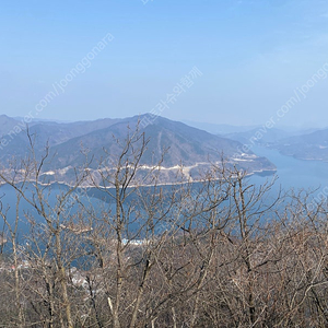 5월3일(토) 비발디파크 a동 스위트클린 양도해요~!!!