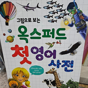 디즈니생활주제사전+그림으로보는 첫 영어사전