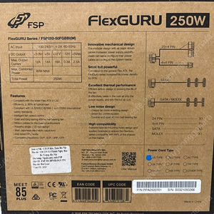 FSP FlexGURU 250W Flex 파워