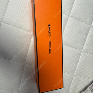 애플워치10 에르메스 사티네46mm (풀코)