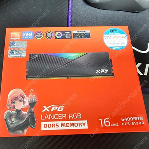 ADATA DDR5-6400 CL32 LANCER RGB 블랙 패키지 서린 (32GB(16Gx2))