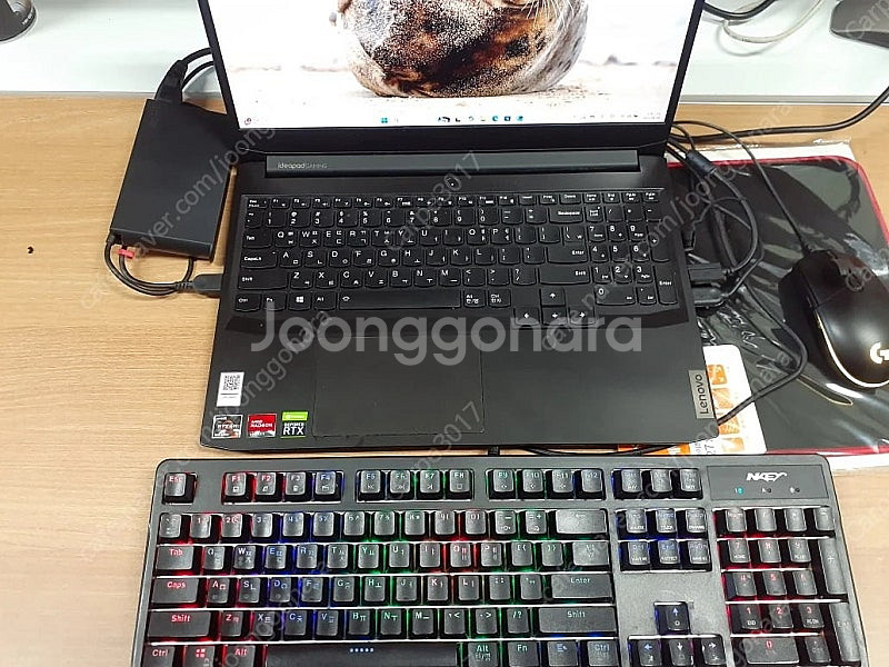 레노버 아이디어 패드 gaming 3 (15ACH6--0