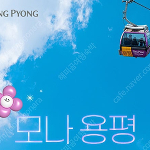 용평리조트~그린피아콘도~빌라콘도~타워콘도~드래곤밸리호텔~베르데힐