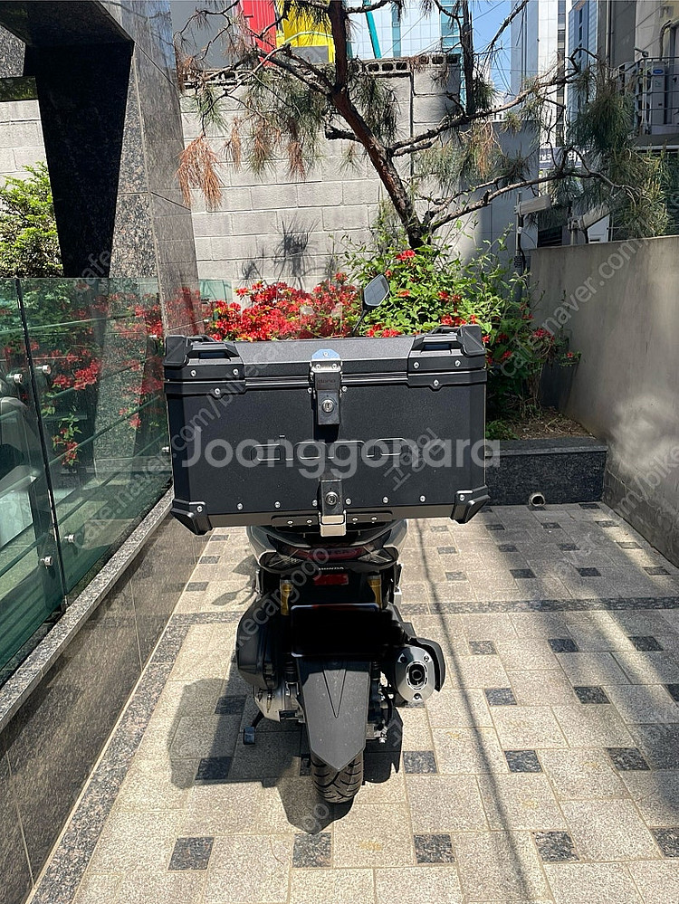 Pcx125 25년식 730km--1