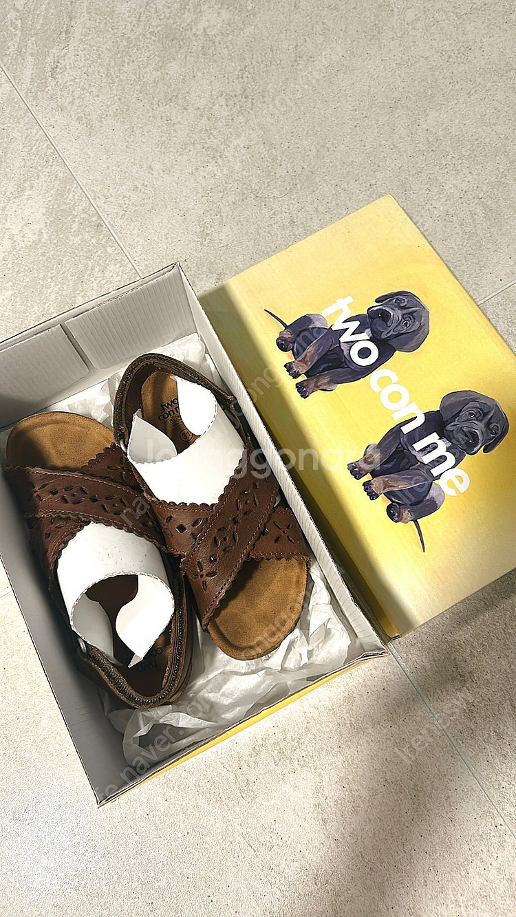 페페 투콘미 31--0