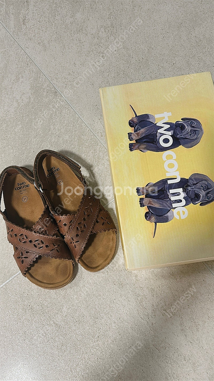 페페 투콘미 31--1