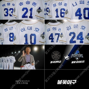 [저렴][명당] 4/27 불꽃야구(최강야구) vs 동국대 4층 지정석 <2연석 4연석>