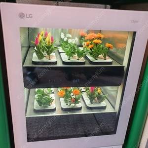 품절중인 LG틔운 오브제컬렉션 판매합니다