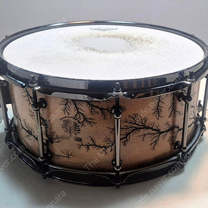 Walnut Ply Wood 스네어
