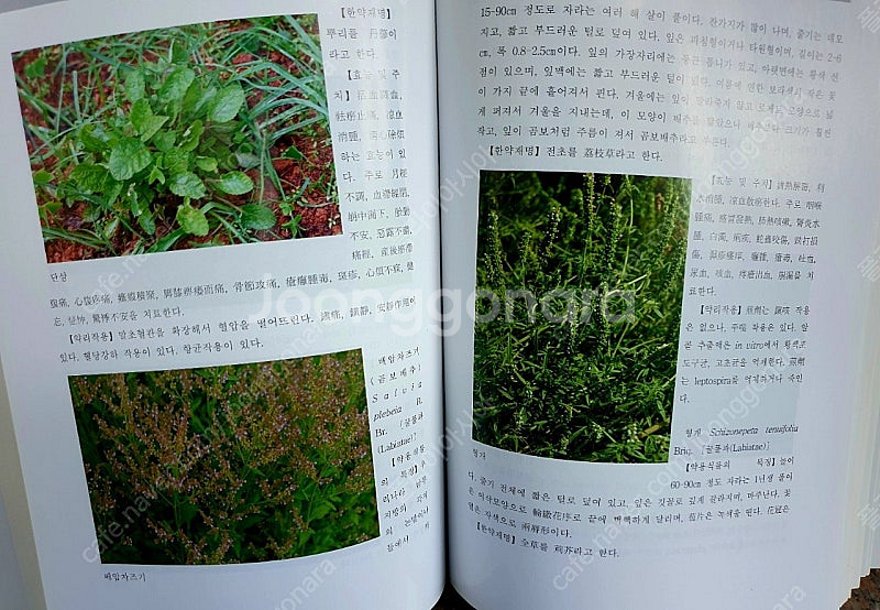 (택포)<한의학 서적>한방 약용식물도감--3