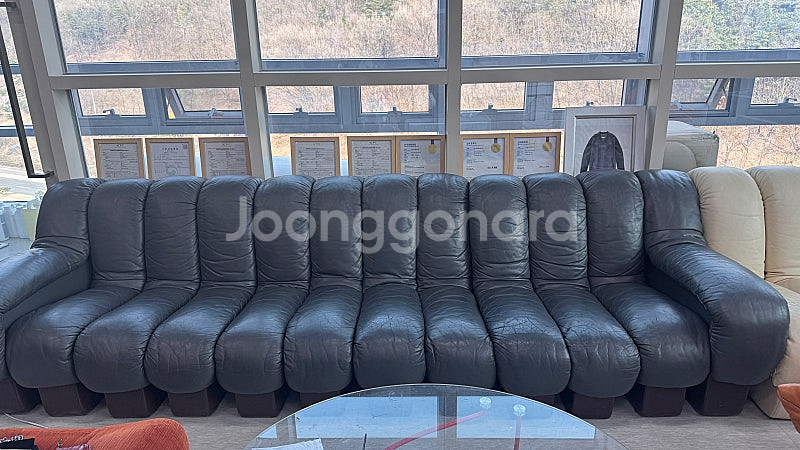 Desede 드세데 DS-600 스네이크 소파--0
