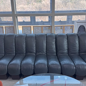 Desede 드세데 DS-600 스네이크 소파