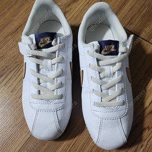 나이키 코르테즈 이지온 190