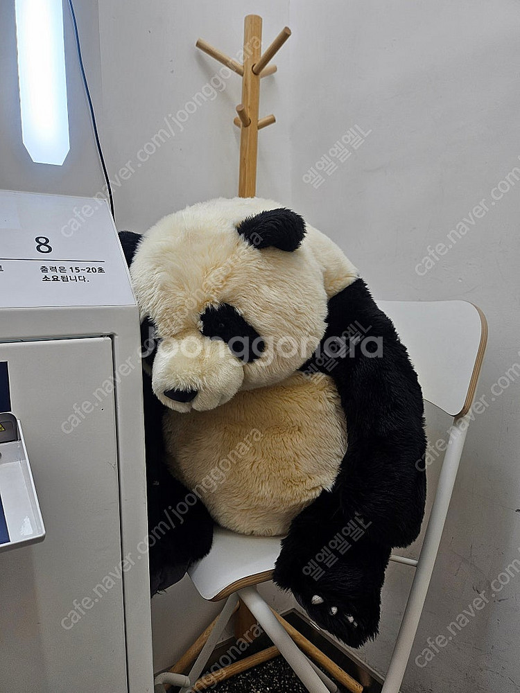 콜드플레이 단석 제가 살게요 입석좌석 무관 연락주세요--0