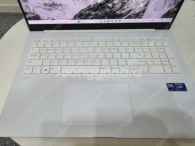 LG 그램 프로 17인치 17ZD90SP-GX79K--8