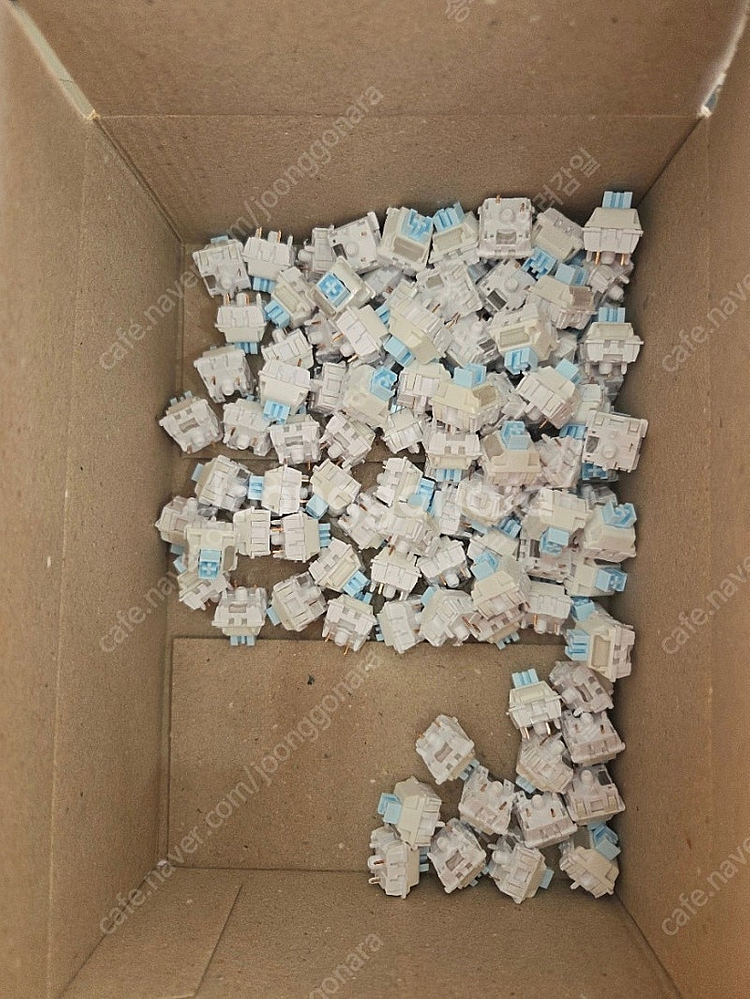 스노우 축 팝니다.--0