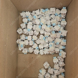 스노우 축 팝니다.