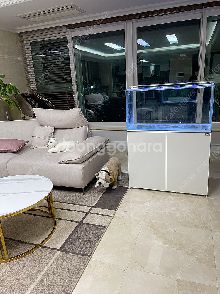 (경기 북부) 아쿠아가든 3자 광폭 수조 90x45x4...--0
