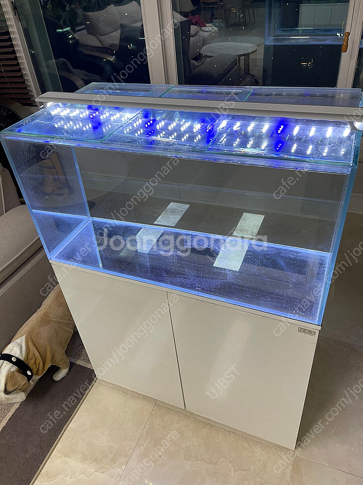 (경기 북부) 아쿠아가든 3자 광폭 수조 90x45x4...--5