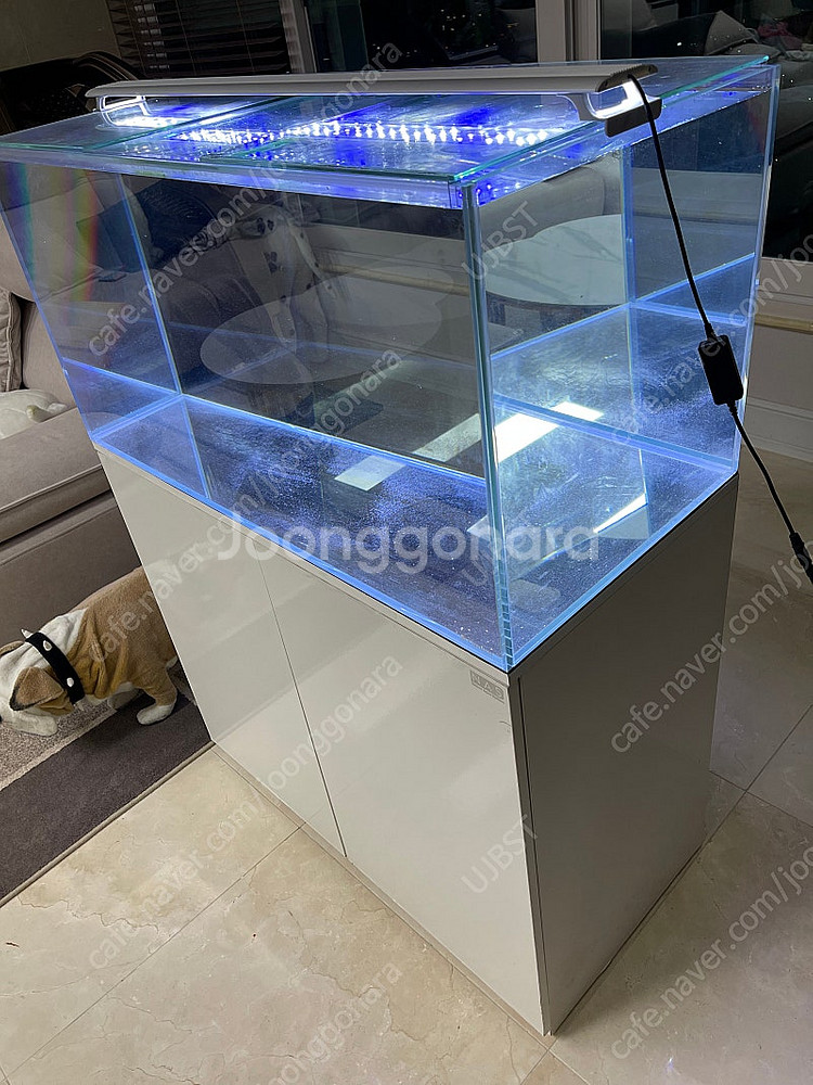 (경기 북부) 아쿠아가든 3자 광폭 수조 90x45x4...--6